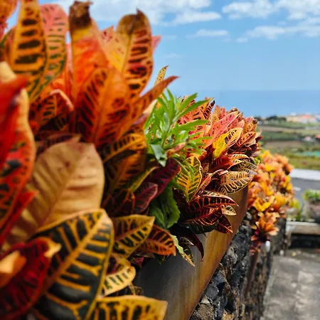 La Casa Nieves Apartment